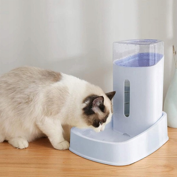 Zestaw automatycznych podajników Karmy i wody dla Psa kota 3,8l x 2szt