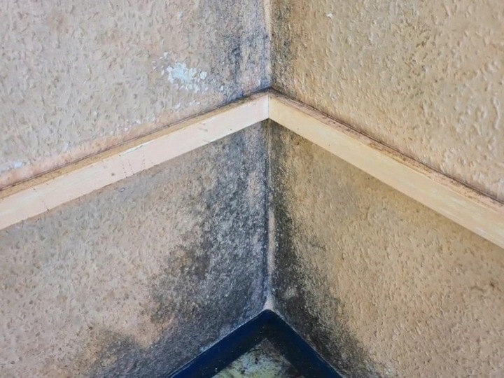 Środek grzybobójczy - grunt do ścian Galvi Ag