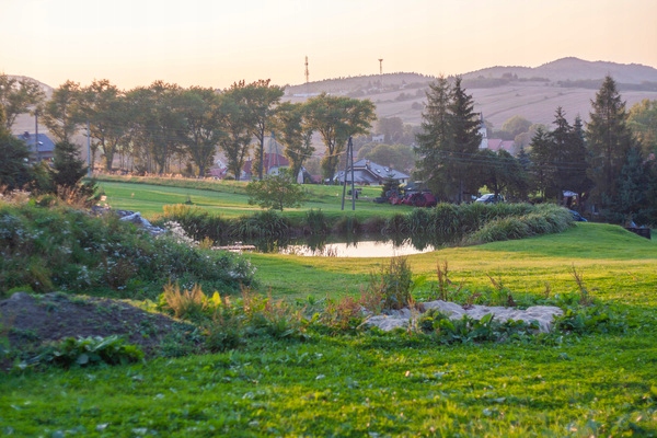 Zakwas buraczany dla dzieci 500 ml Olini Zakwas z buraków Na Zaparcia