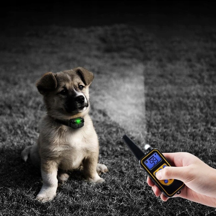 ELEKTRYCZNA OBROŻA DLA PSA TRENINGOWA 800M PILOT