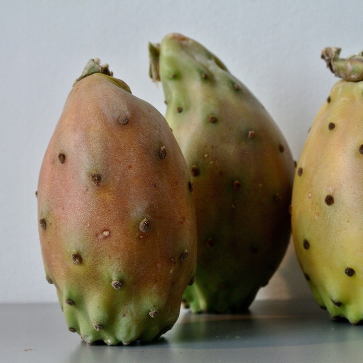 OLEJ Z OPUNCJI FIGOWEJ 50ml do twarzy rafinowany PREMIUM