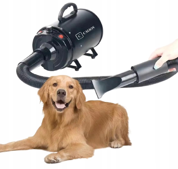 Suszarka do sierści dla psa i kota