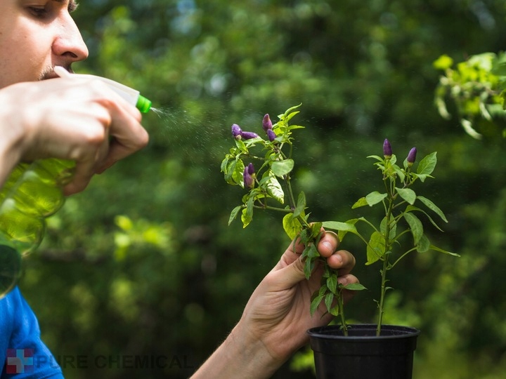 OLEJEK NEEM NIERAFINOWANY TŁOCZONY NA ZIMNO 500ml DO SKÓRY WŁOSÓW DO ROŚLIN