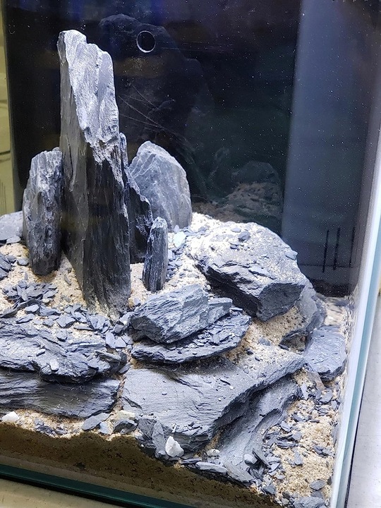 Aranżacja do Akwarium Łupek Drzewiasty Czarny 5kg