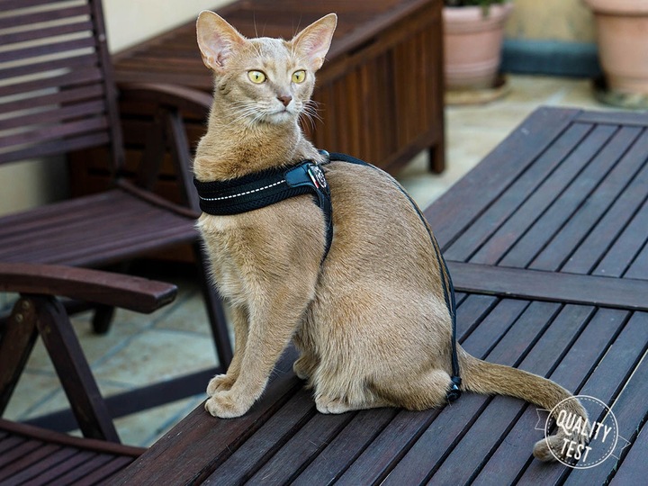 SZELKI dużego kota 43-53cm powyżej 6kg TRE PONTI czarne MIĘKKIE oddychające