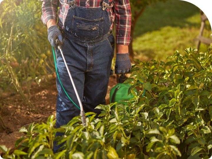 MOSPILAN 20SP 40G ŚRODEK PREPARAT OWADOBÓJCZY NA MSZYCĘ ĆMĘ SZKODNIKI