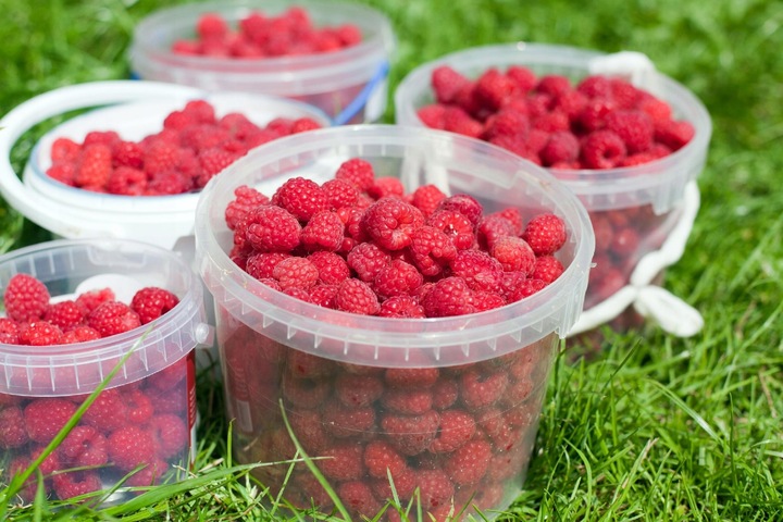 WIADERKO WIADRO POJEMNIK Z POKRYWKĄ TRANSPARENTNE 20L DO 200°