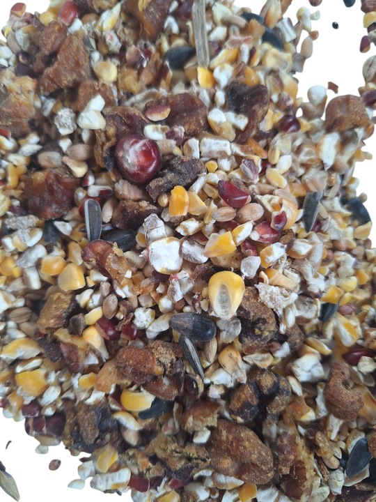 Pokarm dla ptaków dzikich orzechowy karmnik słonecznik 10kg GRATIS KULA