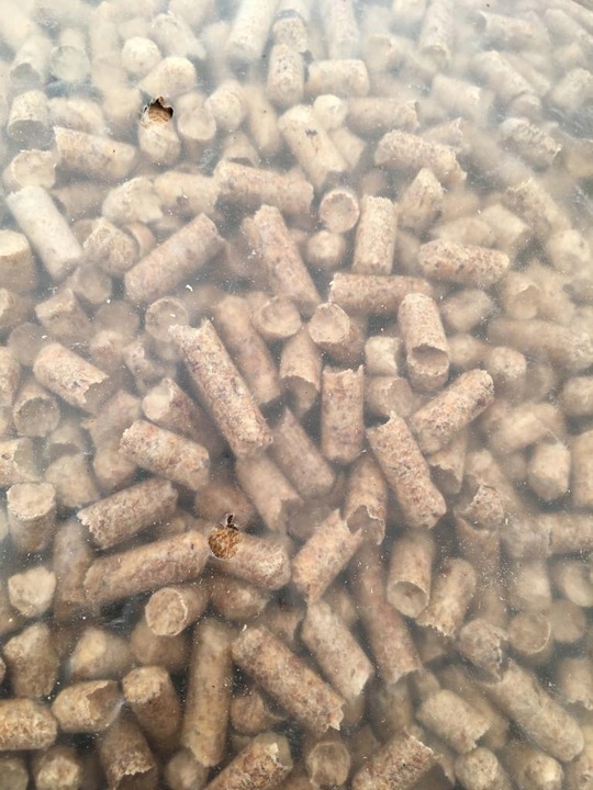 ŻWIREK DREWNIANY 15KG DLA KOTÓW CHOMIKÓW KRÓLIKÓW PELLET