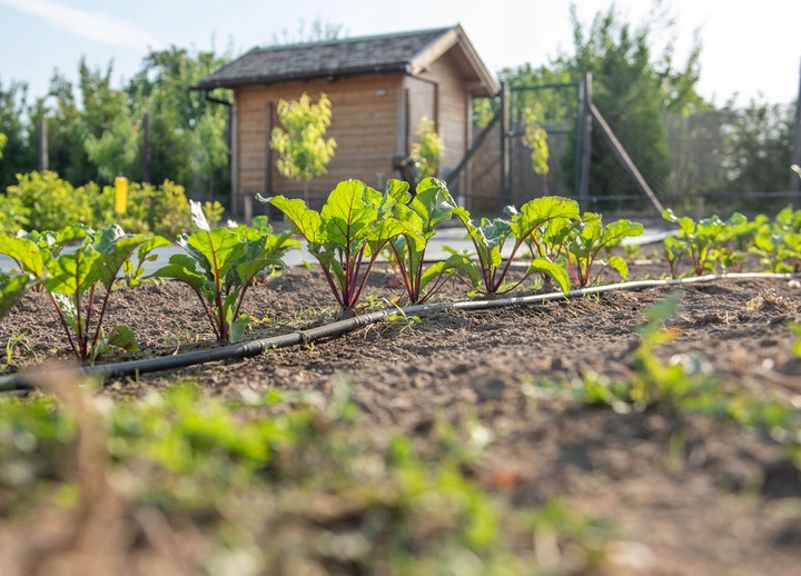 10x KOREK LINIA KROPLUJĄCA NAWODNIENIE KROPELKOWE