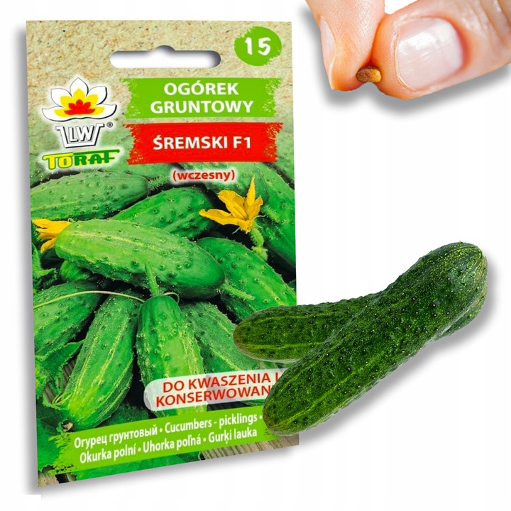 Nasiona warzyw marchew ogórek pietruszka burak NA DOBRY START UDANE PLONY