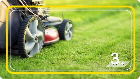 Trawa Nasiona Samozagęszczająca UNIWERSALNA odporna na deptanie 5kg 2024r.