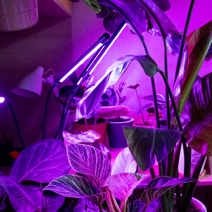 LAMPA DO WZROSTU UPRAWY ROŚLIN LED GROW LIGHT TIMER 9 POZIOMÓW ŚWIECENIA