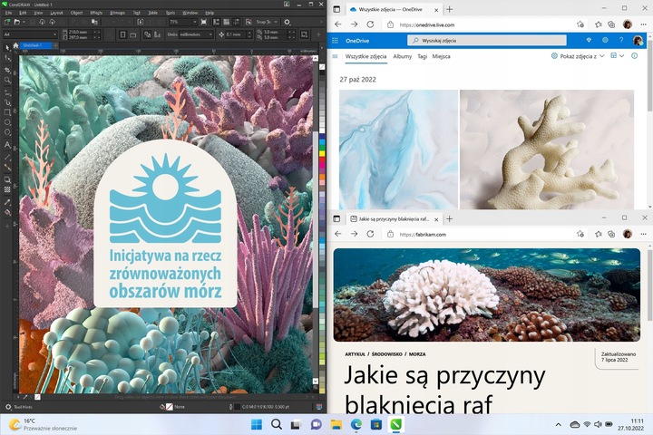 Program MICROSOFT Windows 11 Home Box