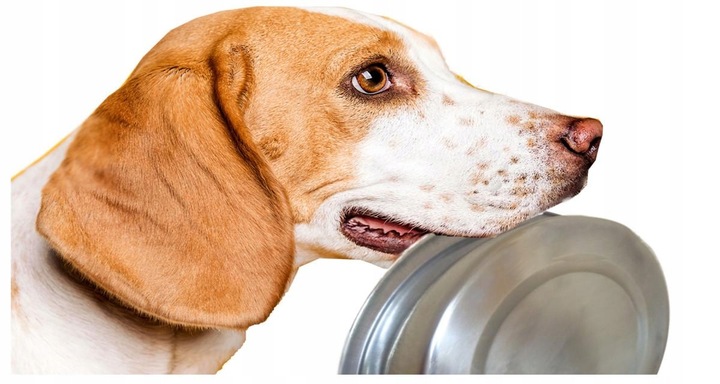 RAFI MINI DOLINA NOTECI WOŁOWINA KARMA SUCHA DLA PSA 3KG BEEF