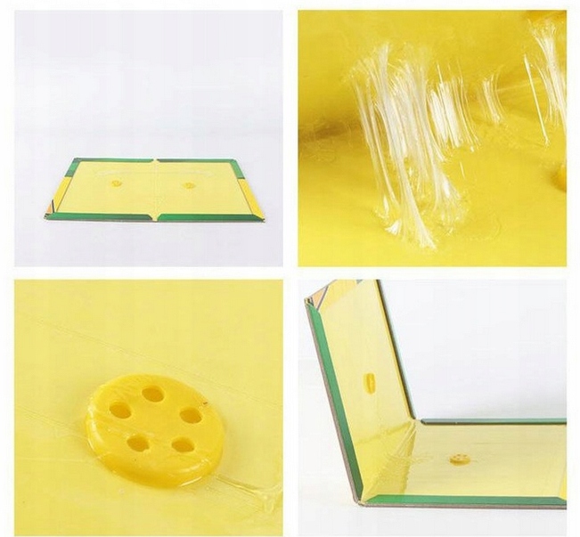 LEP NA MYSZY SILNA PUŁAPKA NA SZCZURY GRYZONIE MYSZOŁAPKA KLEJ ŁAPKA