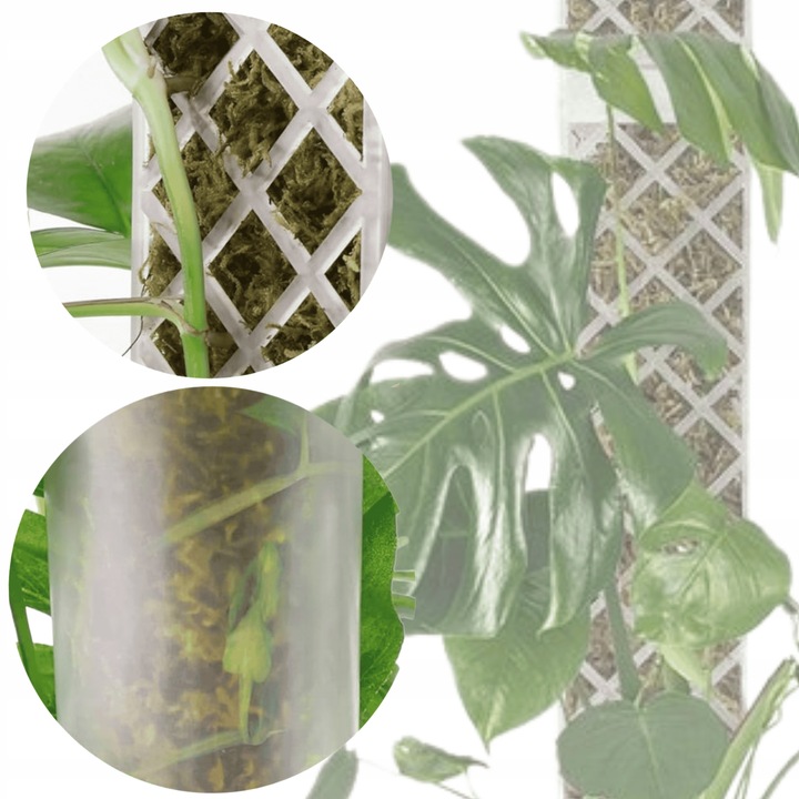 Podpora do roślin pnączy do mchu Sphagnum Palik Tyczka Do Monstery 50