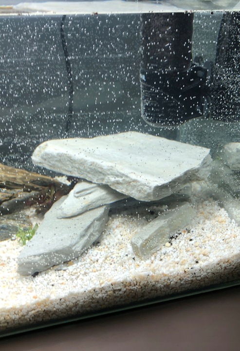 Żwirek Do Akwarium Malawi Biały Naturalny 1-4mm 8kg