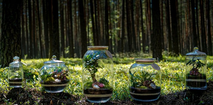 ZESTAW STARTOWY DO LASU W SZKLE KOMPLETNY 12 elementów MEGA DUŻY XXL