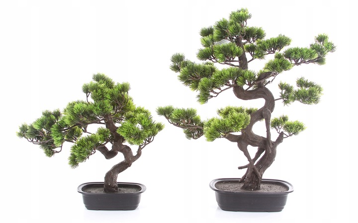 sztuczne drzewko BONSAI LARCH 48x35 modrzew w ceramicznej czarnej doniczce