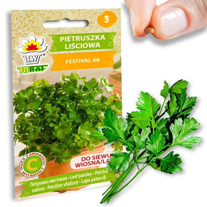 Nasiona warzyw marchew ogórek pietruszka burak NA DOBRY START UDANE PLONY