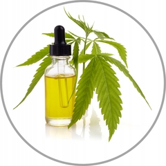 Na swędzącą skórę głowy Esencja- wcierka z olejem konopnym Wax Med