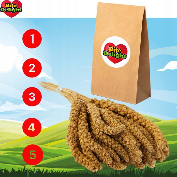 PROSO SENEGALSKIE BIAŁE 1KG CZYSTE DUŻE KŁOSY DLA PTAKÓW PAPUG ECO PACK