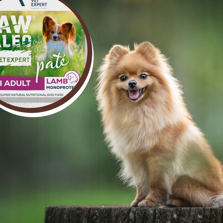 Mokra karma dla psów dorosłych małych ras jagnięcina Raw Paleo Pate 12x150g