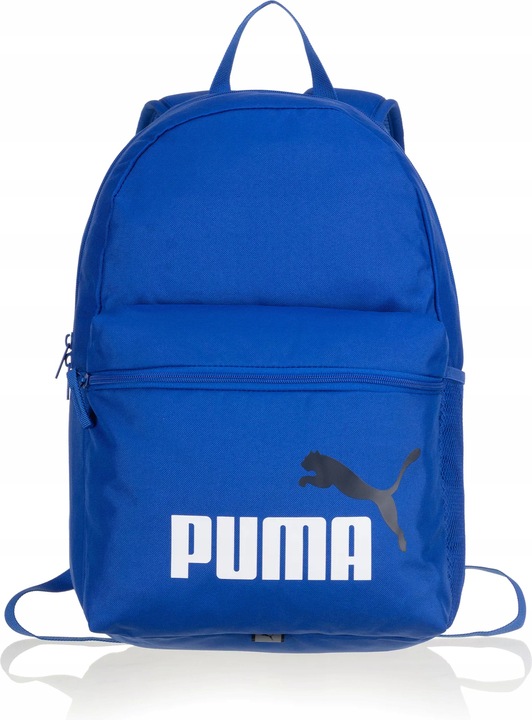 PLECAK PHASE PUMA