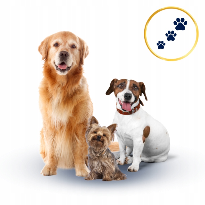 SUCHA KARMA DLA PSA POLARIS ADULT BEZ ZBÓŻ WOŁOWINA INDYK 12KG ŚWIEŻE MIĘSO