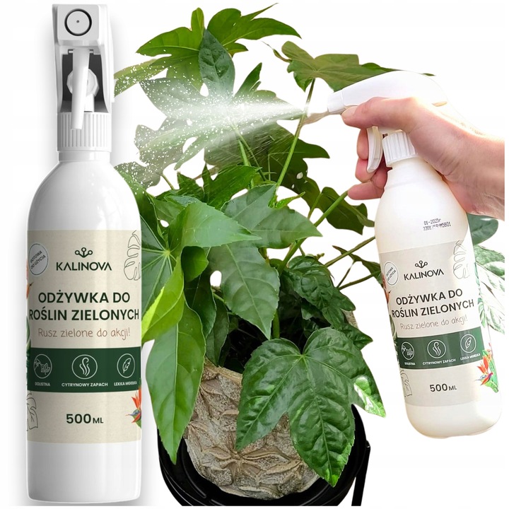 Odżywka Nawozowa Nawóz Do Liści Roślin Zielonych Monstery Palm Fikusa