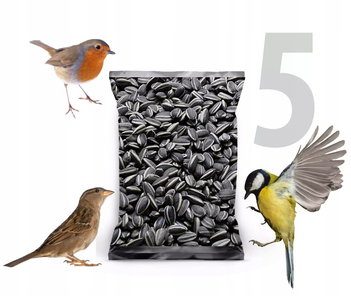 5kg Słonecznik czarny nie łuskany ziarno na zimę karmnik dla ptaków