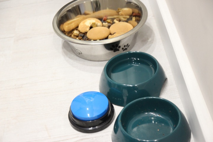 PRZYCISK SZKOLENIA Psa Kota NAGRYWANIE DŹWIĘKU przyciski NAUKA 2szt MP097