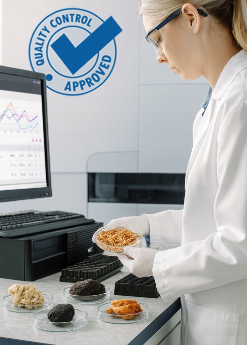 KAWA Z GRZYBÓW 9 w 1 Lions Mane Cordyceps Chaga Reishi MCT Błonnik