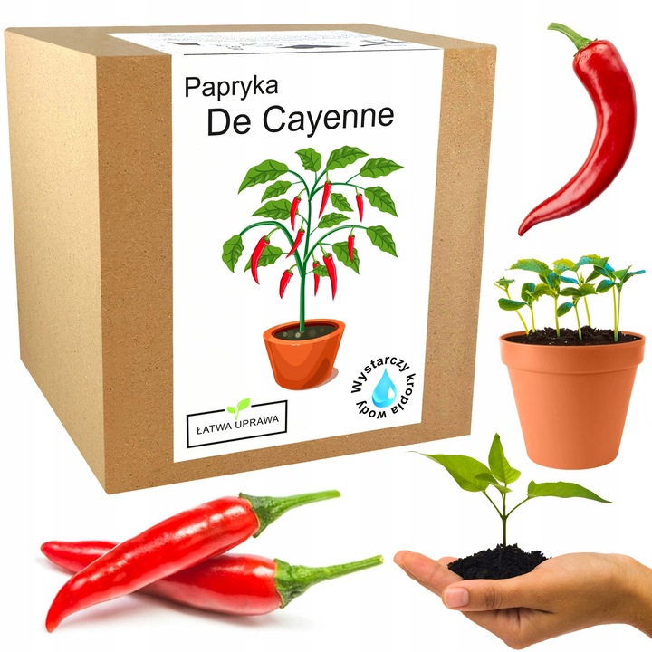 ZESTAW DO UPRAWY PAPRYKA CHILI DE CAYENNE PAPRYKA OSTRA NASIONA 5 SZT