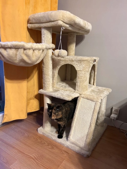 DRAPAK DLA KOTA KOTÓW STABILNY LEGOWISKO WIEŻA SŁUPEK DOMEK 3 POZIOMY