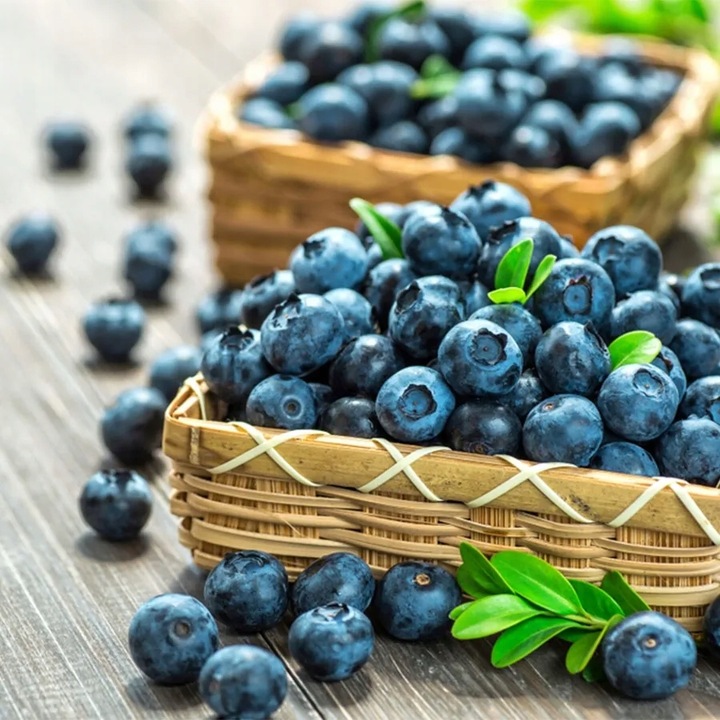 ZIEMIA PODŁOŻE DO BORÓWKI Z NAWOZEM KWAŚNA TORF ROŚLIN KWASOLUBNYCH