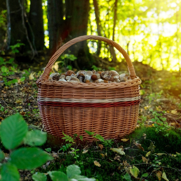 KOSZ WIKLINOWY KOSZYK NA GRZYBY ZAKUPY PIKNIK OWOCE Z WIKLINY DUŻY EKO