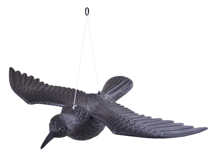 KRUK LATAJĄCY ODSTRASZACZ W LOCIE NA BALKON TARAS GOŁĘBI PTAKÓW