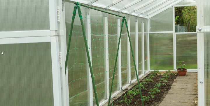 Siatka Podpora warzyw roślin pnących 2x10m 15x17cm AS-CN08151720010