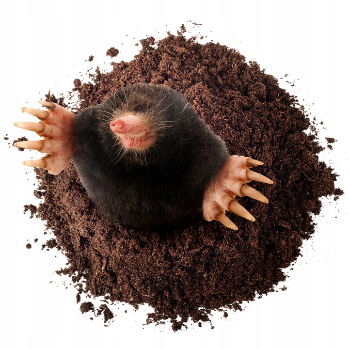 BROS Sonic na krety, gryzonie i węże, odstraszacz przeciwko kretom - 2