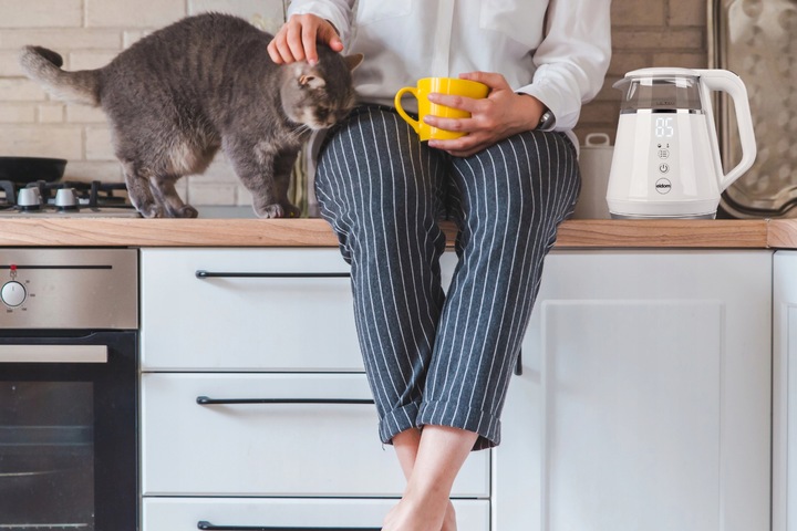 Czajnik bezprzewodowy z regulacją temperatury C505B Eldom 1100W 1L