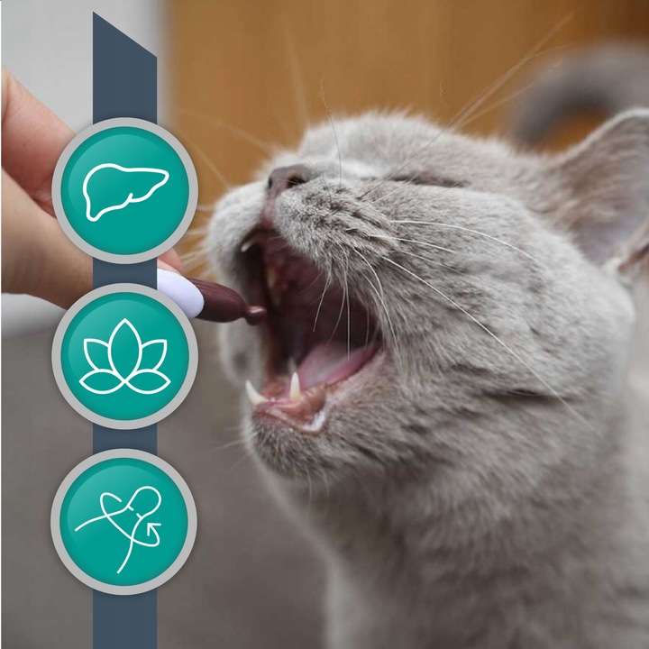 Suplement dla psów i kotów wsparcie wątroby Vet Hepatile 40 kaps. Twist Off