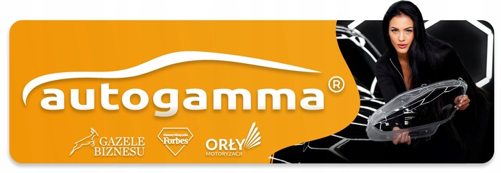 Klosz Szkło Reflektora Samochodowego Lamp Opel Insignia I A G09 08-13 Prawa