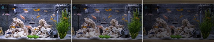 Oświetlenie LED do akwarium lampa LED do akwarium BELKA LED NANO SPECTRUM