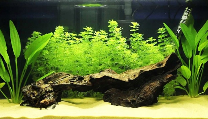 Czysty Piasek Kwarcowy do Akwarium 0,5-1,2 25KG