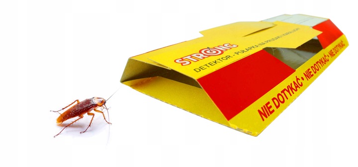 5X PUŁAPKA LEPOWA LEP NA PRUSAKI KARALUCHY KARACZANY PANKO Z WABIKIEM