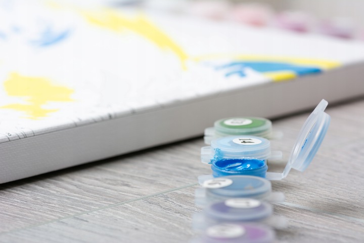 MALOWANIE PO NUMERACH Z RAMĄ Obrazy Do Malowania Po Numerkach OBRAZ 40x50