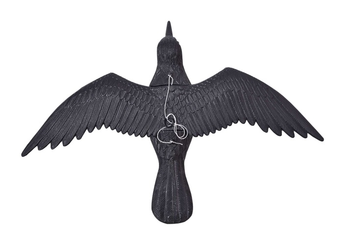 KRUK LATAJĄCY ODSTRASZACZ W LOCIE NA BALKON TARAS GOŁĘBI PTAKÓW