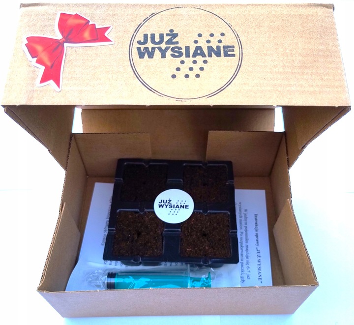 ZESTAW do uprawy na PREZENT Koleusy Pokrzywki "JUŻ WYSIANE" nasiona